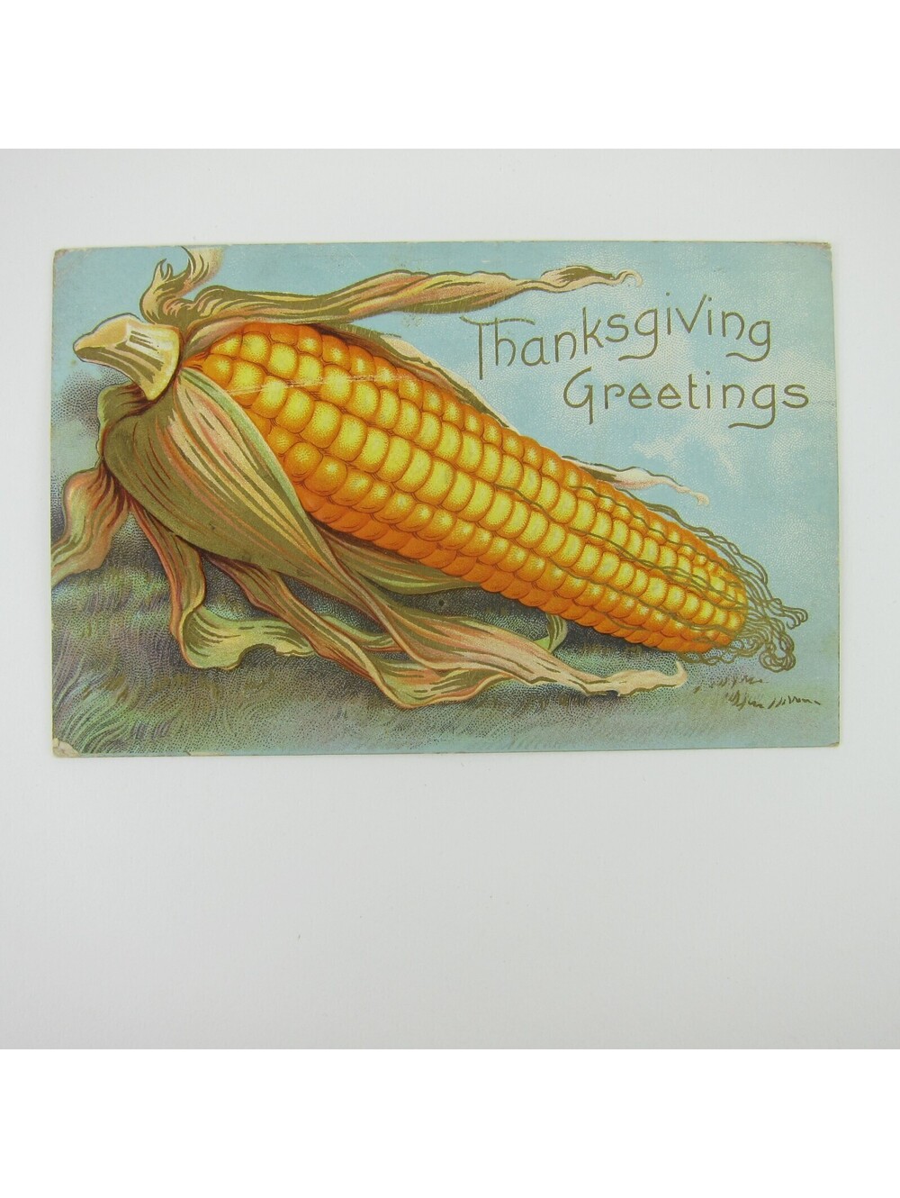 Thanksgiving Postcard Corn Cob Food Harvest Yellow Blue Embossed Antique 1910